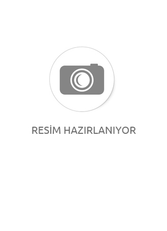 2874K-1A-21 Orion Sarkıt Şeffaf